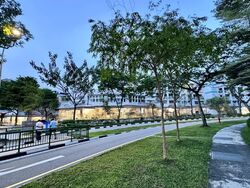 Blk 135 Serangoon North Avenue 2 (Serangoon), HDB 5 Rooms #558890481